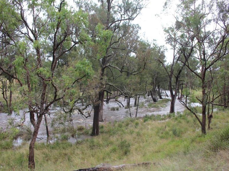 1925 Bruxner Highway, Tenterfield NSW 2372