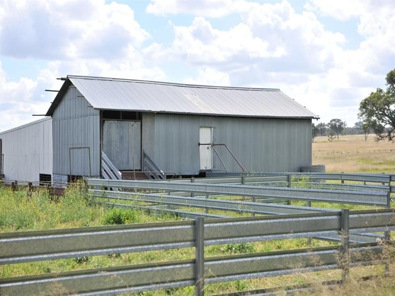 2826 Kingstown Road, Uralla NSW 2358