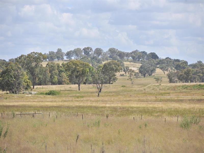 2826 Kingstown Road, Uralla NSW 2358