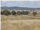 2826 Kingstown Road, Uralla NSW 2358