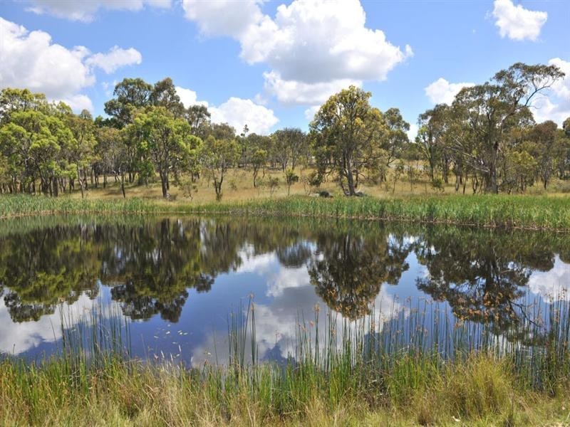 2826 Kingstown Road, Uralla NSW 2358