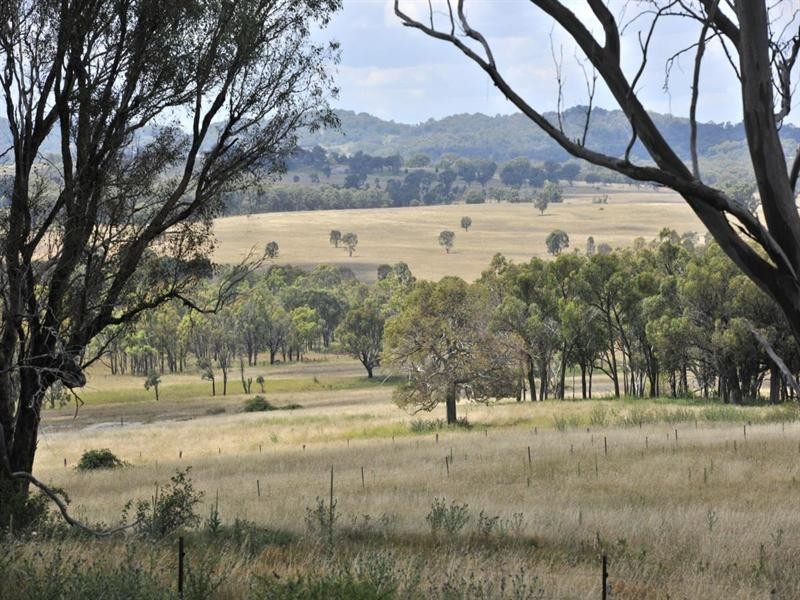 2826 Kingstown Road, Uralla NSW 2358