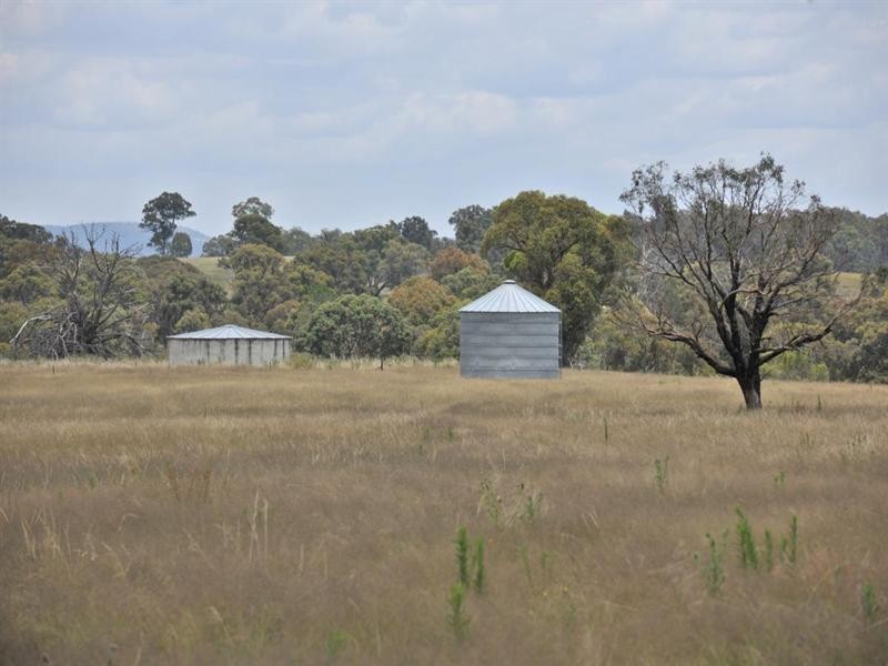 2826 Kingstown Road, Uralla NSW 2358