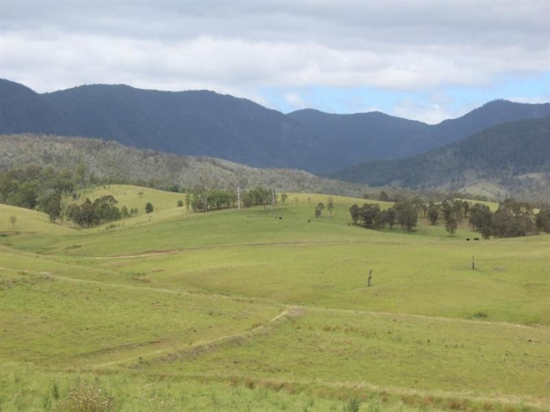 2937 Billirimba Road, Tenterfield NSW 2372