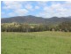 2937 Billirimba Road, Tenterfield NSW 2372