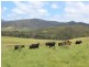 2937 Billirimba Road, Tenterfield NSW 2372