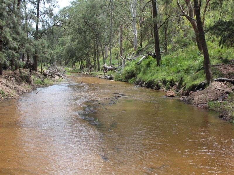 2937 Billirimba Road, Tenterfield NSW 2372