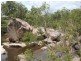 2937 Billirimba Road, Tenterfield NSW 2372