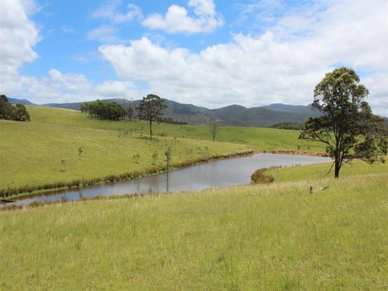 2937 Billirimba Road, Tenterfield NSW 2372