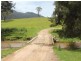 2937 Billirimba Road, Tenterfield NSW 2372
