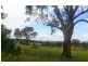 Lot 3 Neagles Lane, Tenterfield NSW 2372