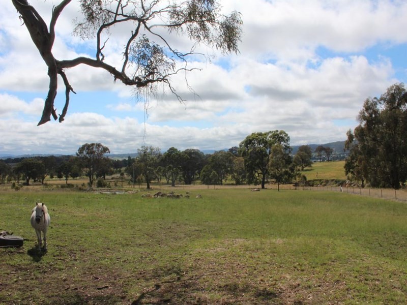 Lot 3 Neagles Lane, Tenterfield NSW 2372