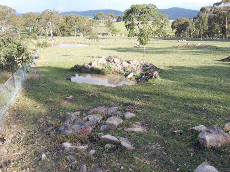 Lot 3 Neagles Lane, Tenterfield NSW 2372