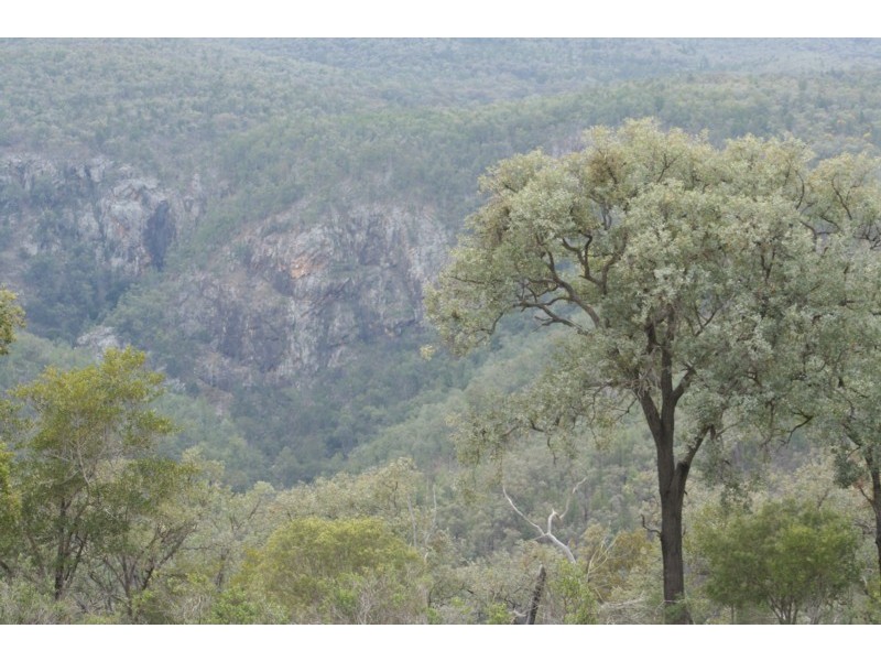 Tenterfield NSW 2372