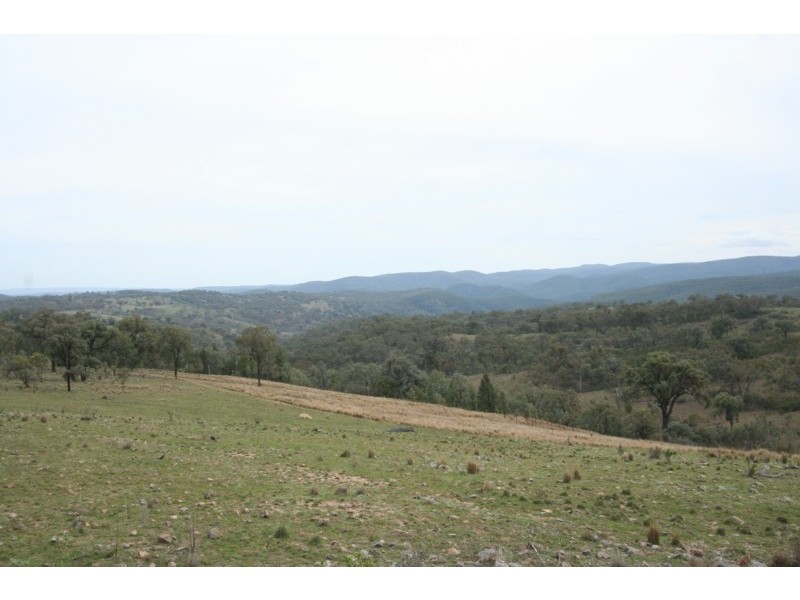 Tenterfield NSW 2372