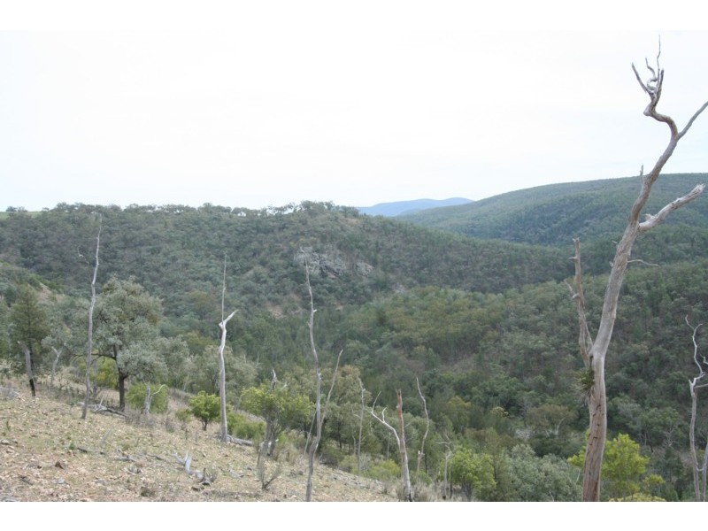 Tenterfield NSW 2372