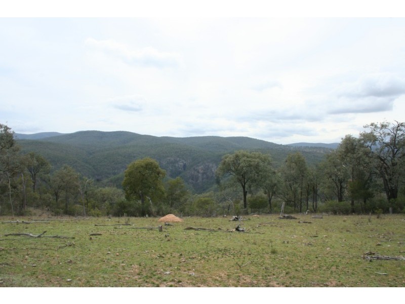 Tenterfield NSW 2372