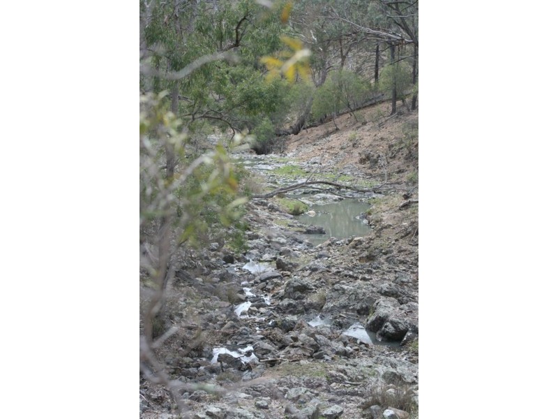 Tenterfield NSW 2372