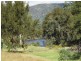 Lot 30 Mole River Road, Tenterfield NSW 2372