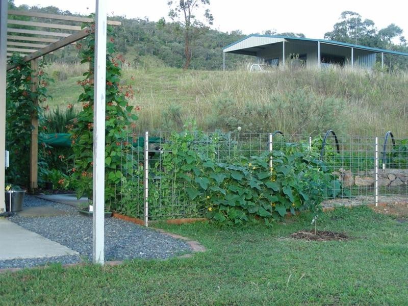 Lot 30 Mole River Road, Tenterfield NSW 2372