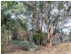 Lot 30 Mole River Road, Tenterfield NSW 2372