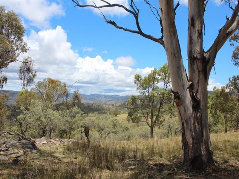 Lot 38 Eagle Creek Road, Tenterfield NSW 2372
