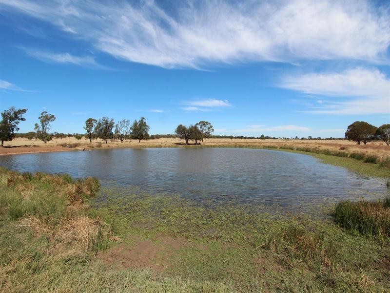 11508 Barwon Highway, Goondiwindi QLD 4390