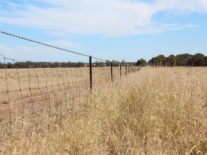 11508 Barwon Highway, Goondiwindi QLD 4390