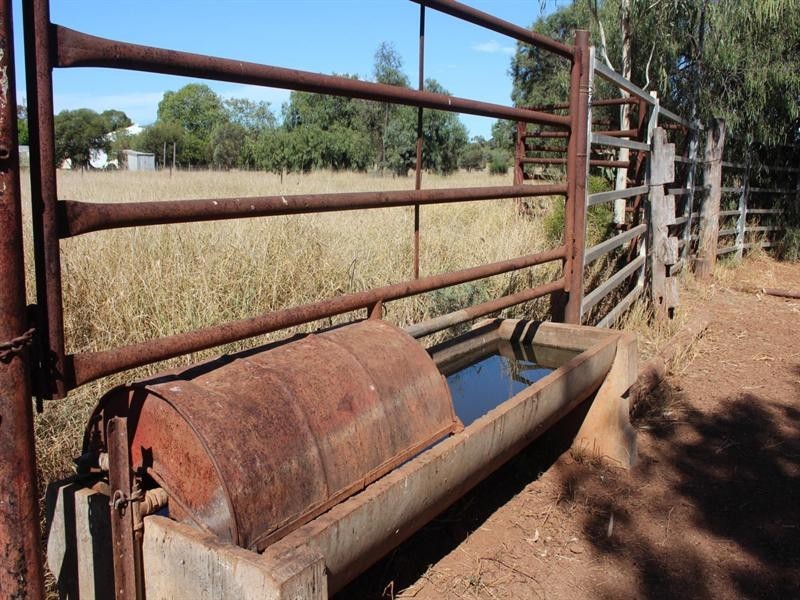 11508 Barwon Highway, Goondiwindi QLD 4390