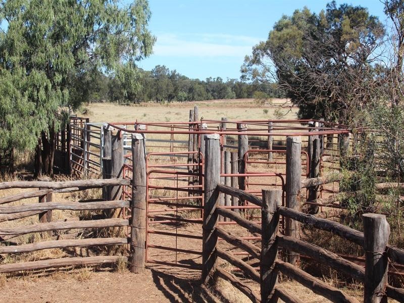 11508 Barwon Highway, Goondiwindi QLD 4390