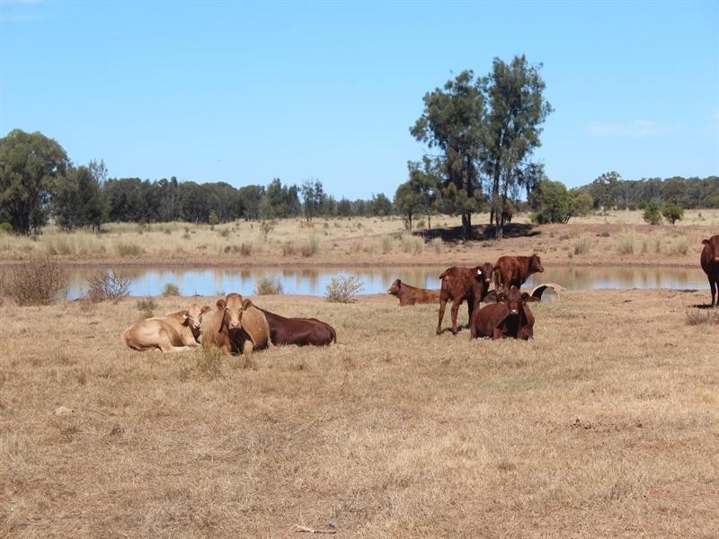 11508 Barwon Highway, Goondiwindi QLD 4390