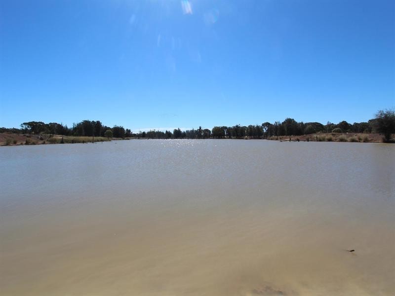 11508 Barwon Highway, Goondiwindi QLD 4390