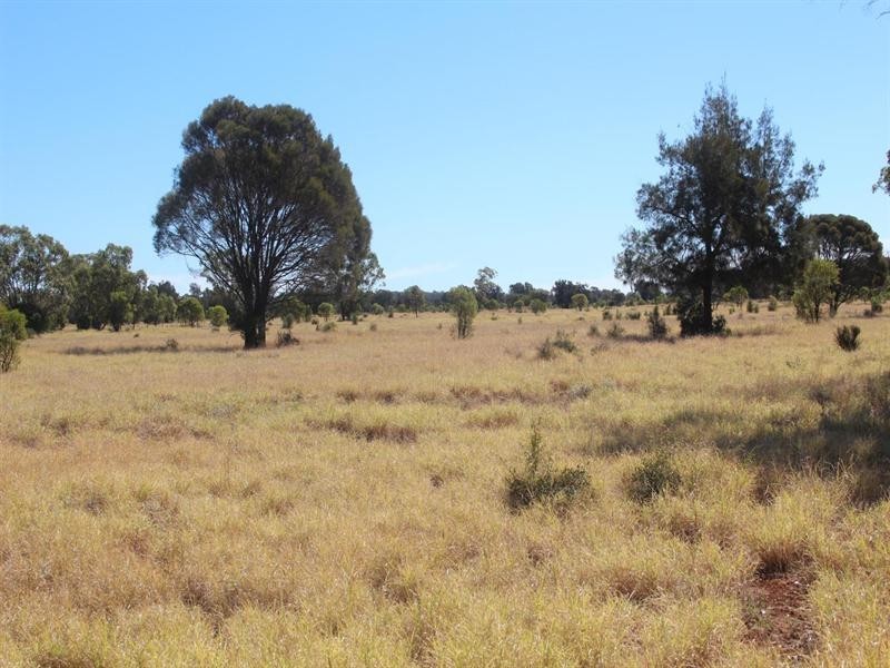 11508 Barwon Highway, Goondiwindi QLD 4390