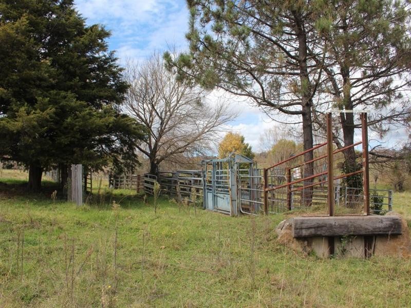 4 Mount Lindsay Road, Tenterfield NSW 2372