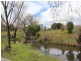 4 Mount Lindsay Road, Tenterfield NSW 2372