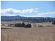 31 Bellevue Road, Tenterfield NSW 2372
