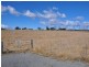 31 Bellevue Road, Tenterfield NSW 2372