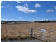 31 Bellevue Road, Tenterfield NSW 2372