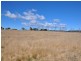 31 Bellevue Road, Tenterfield NSW 2372