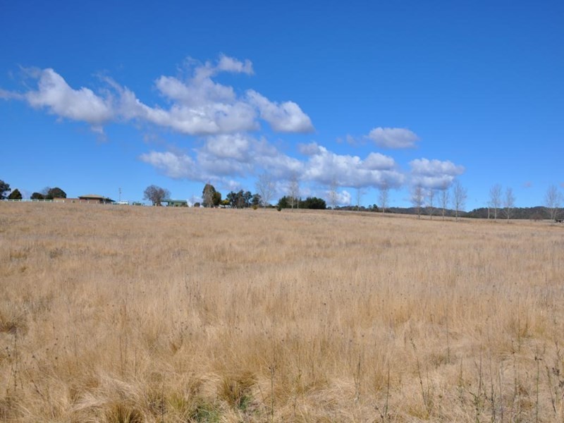 31 Bellevue Road, Tenterfield NSW 2372