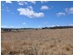 31 Bellevue Road, Tenterfield NSW 2372