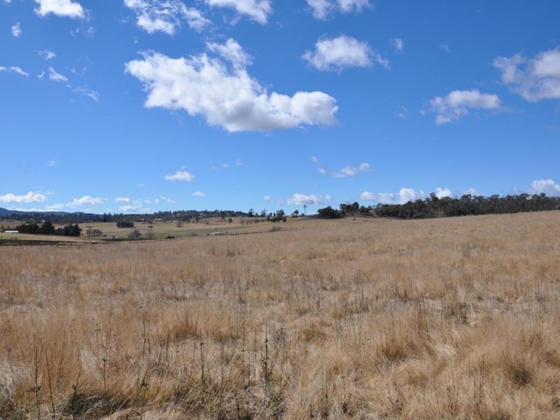 31 Bellevue Road, Tenterfield NSW 2372