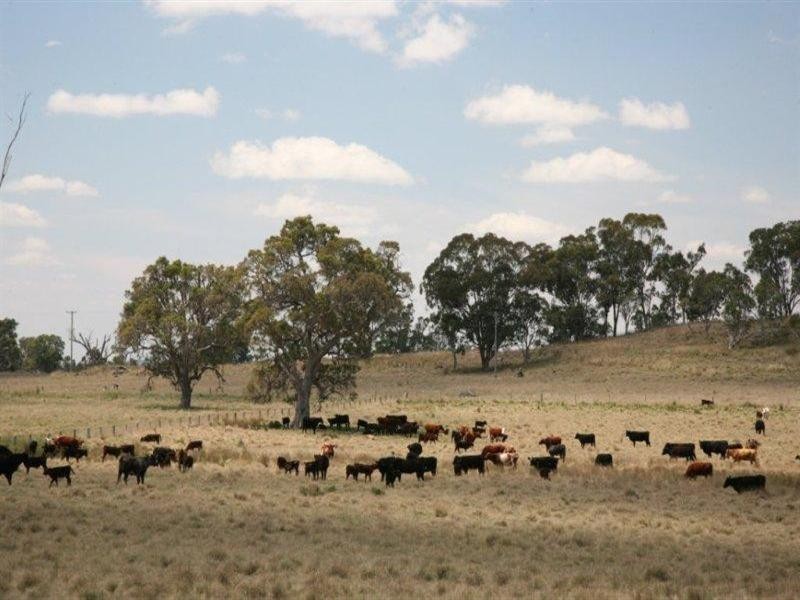 Glenmorangie Bonshaw Road, Strathbogie, Emmaville NSW 2371