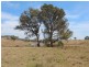 Glenmorangie Bonshaw Road, Strathbogie, Emmaville NSW 2371