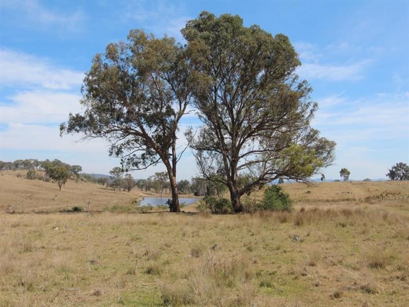 Glenmorangie Bonshaw Road, Strathbogie, Emmaville NSW 2371