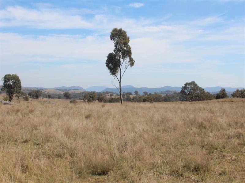 Glenmorangie Bonshaw Road, Strathbogie, Emmaville NSW 2371