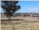 Glenmorangie Bonshaw Road, Strathbogie, Emmaville NSW 2371
