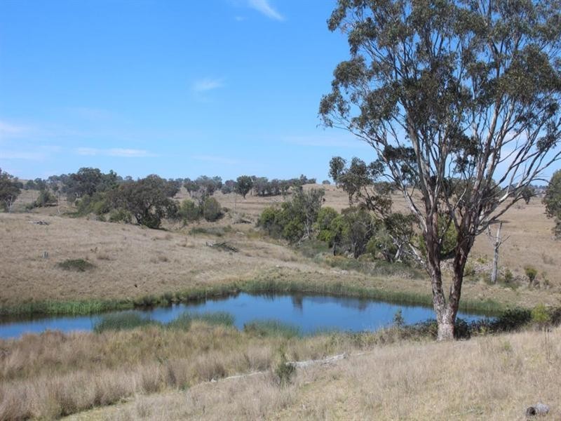 Glenmorangie Bonshaw Road, Strathbogie, Emmaville NSW 2371