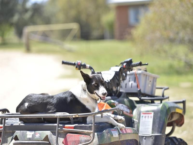 Nukoorapeta Castlerag Road, Deepwater NSW 2371