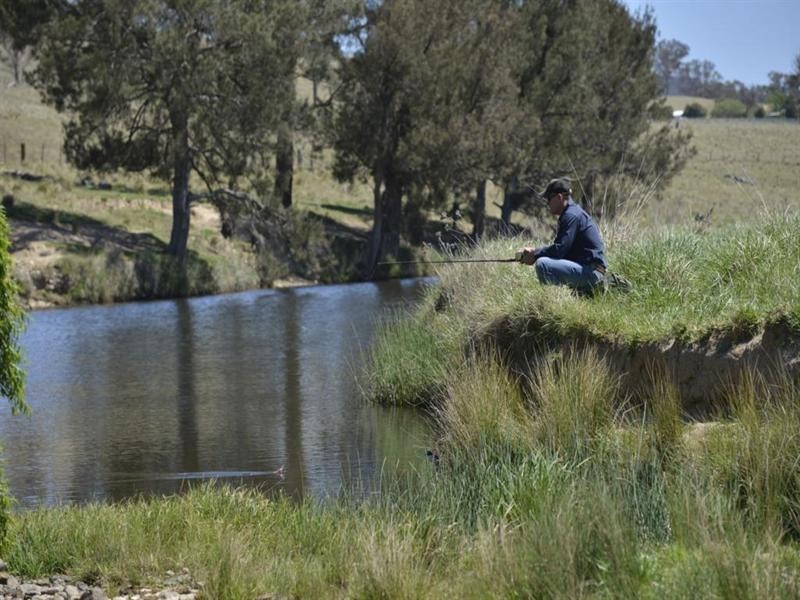 Nukoorapeta Castlerag Road, Deepwater NSW 2371